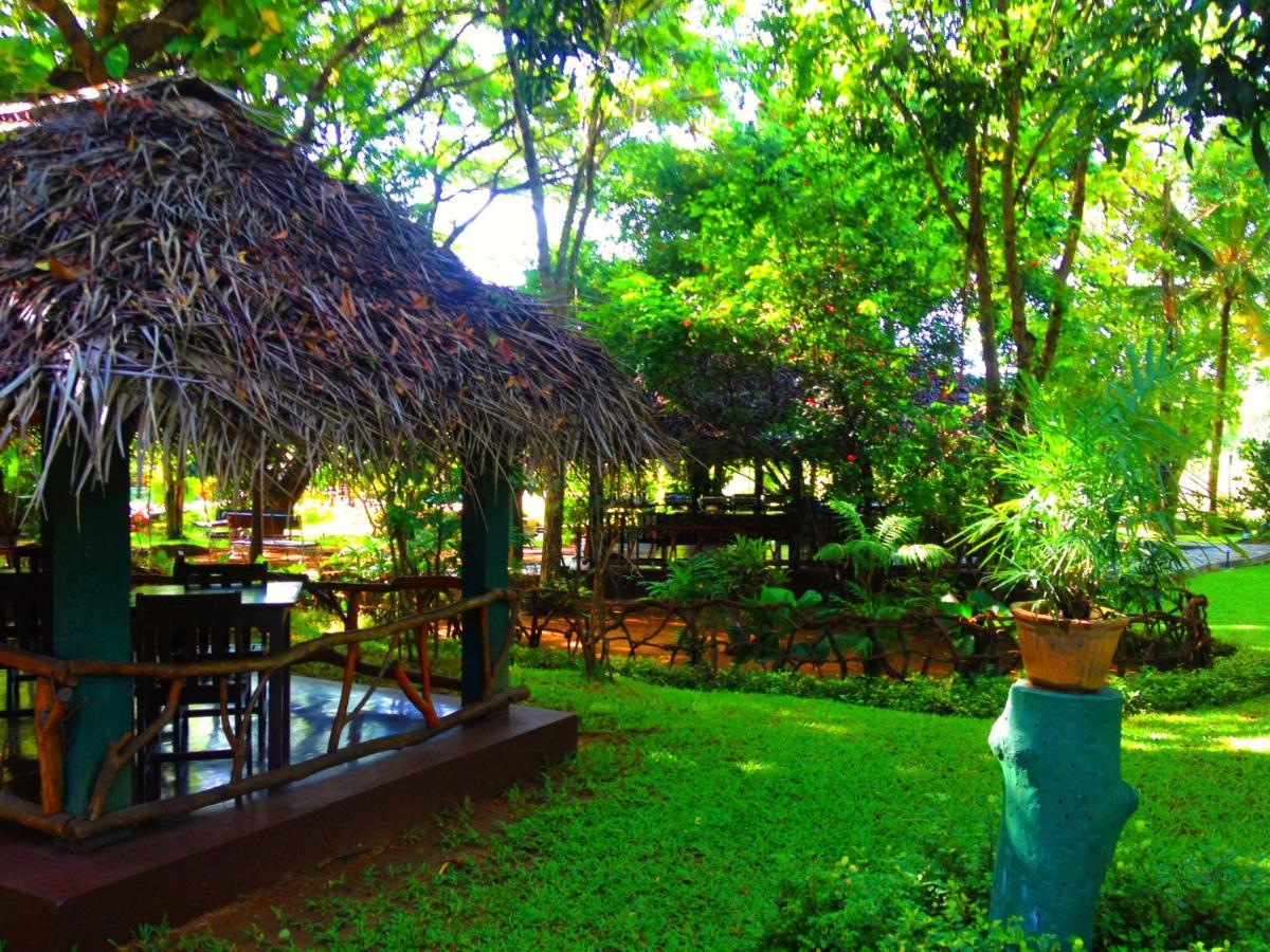 Pelwehera Village Resort Dambulla Exterior foto